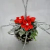 Ornamente de brad din ghindă